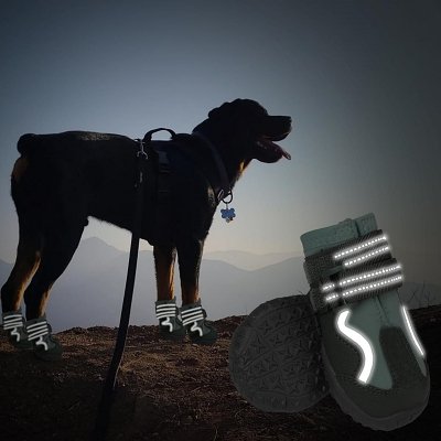 Botte pour chien - DogBoots™ - Vert - Trek Paws