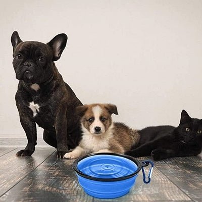 Gamelle pour Chien - SiliconeDogBowl™ - Bleu - Trek Paws
