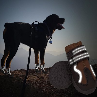 Botte pour chien - DogBoots™ - Marron - Trek Paws