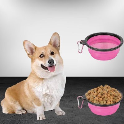 Gamelle pour Chien - SiliconeDogBowl™ - Pourpre - Trek Paws