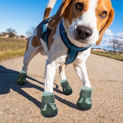 Botte pour chien - DogBoots™ - Vert - Trek Paws