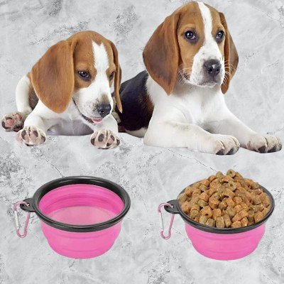 Gamelle pour Chien - SiliconeDogBowl™ - Pourpre - Trek Paws
