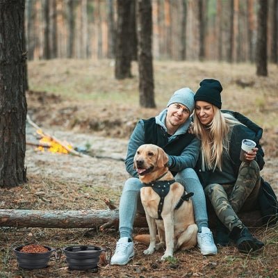 Gamelle pour Chien - SiliconeDogBowl™ - Noir - Trek Paws
