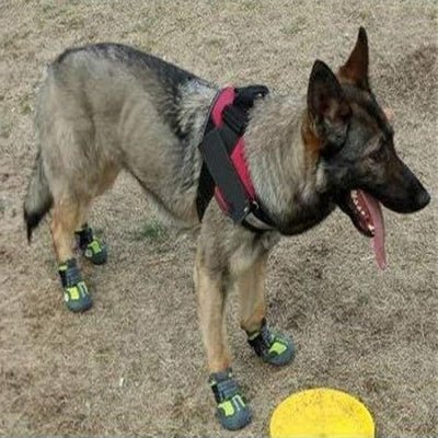 Chaussons pour chien - PetDogShoes™ - Jaune - Trek Paws