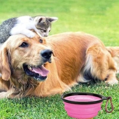 Gamelle pour Chien - SiliconeDogBowl™ - Pourpre - Trek Paws