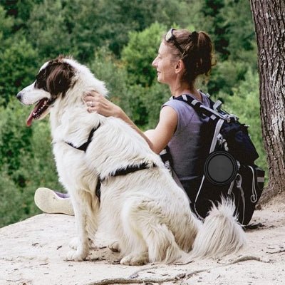 Gamelle pour Chien - SiliconeDogBowl™ - Noir - Trek Paws