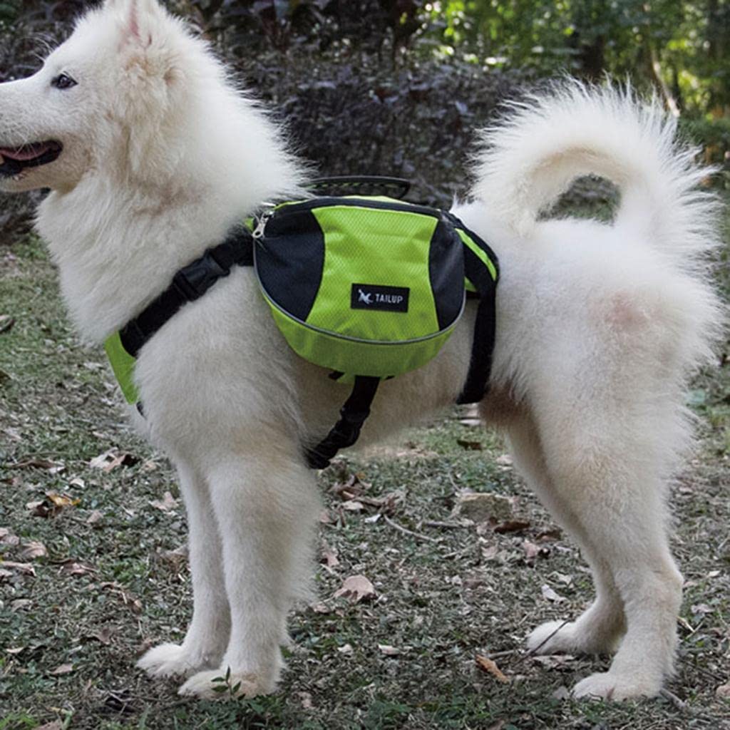 Sac de Voyage Chien - DogBackpack™ - Vert - Trek Paws