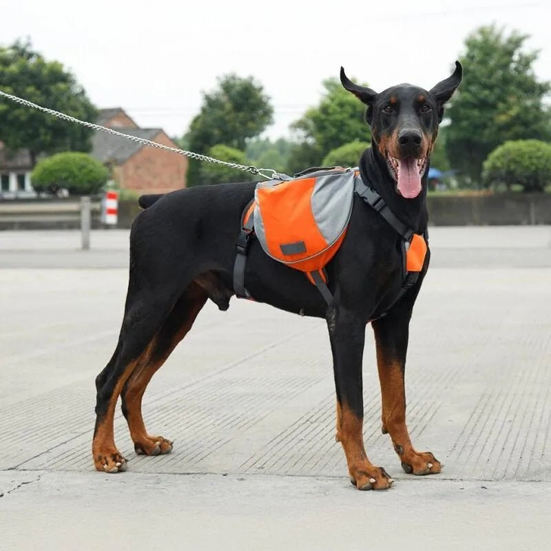 Sac de Voyage Chien - DogBackpack™ - Orange - Trek Paws