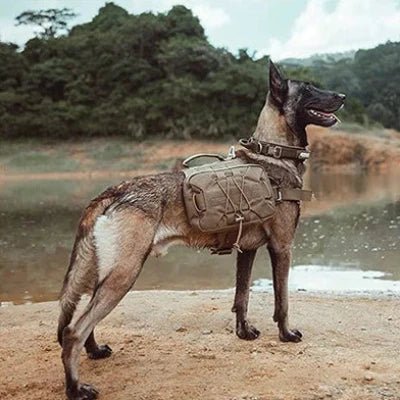 Sac à dos pour chien - BackpackDogHarness™ - Marron - Trek Paws