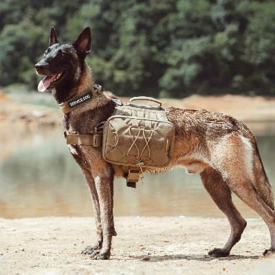 Sac à dos pour chien - BackpackDogHarness™ - Marron - Trek Paws