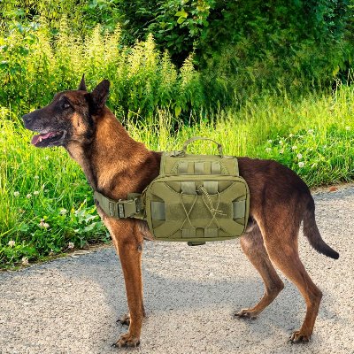 Sac à dos pour chien - BackpackDogHarness™ - Vert - Trek Paws