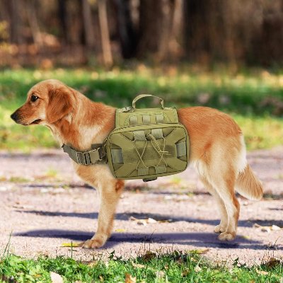 Sac à dos pour chien - BackpackDogHarness™ - Vert - Trek Paws