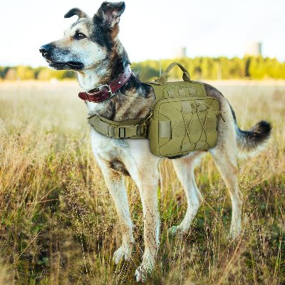 Sac à dos pour chien - BackpackDogHarness™ - Vert - Trek Paws
