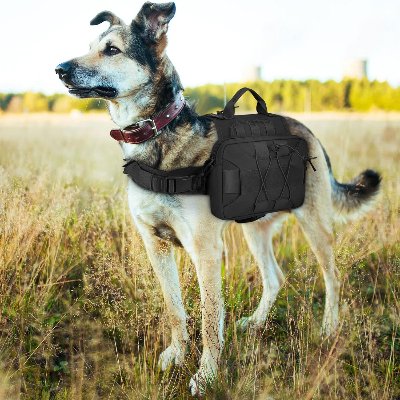 Sac à dos pour chien - BackpackDogHarness™ - Noir - Trek Paws