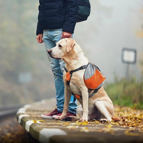Sac de Voyage Chien - DogBackpack™ - Orange - Trek Paws